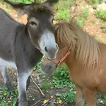 Zagroda Kopytkowo * Ropica Gorna