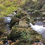 Zagroda Kopytkowo * Ropica Gorna