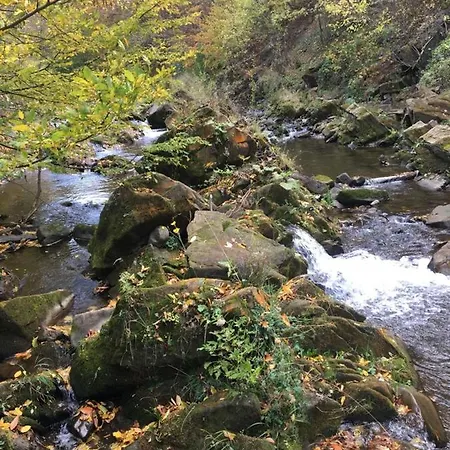 Zagroda Kopytkowo * Ropica Gorna