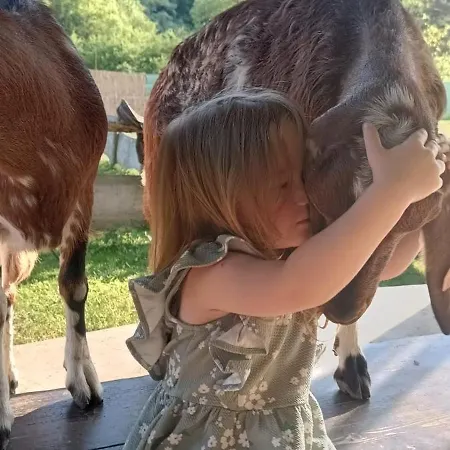 Zagroda Kopytkowo Luksusowy namiot