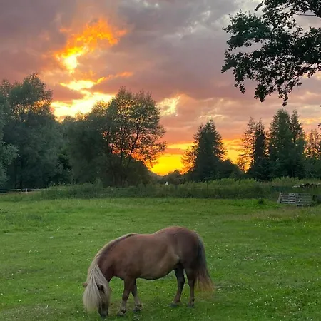 Zagroda Kopytkowo Campo de lujo Ropica Gorna