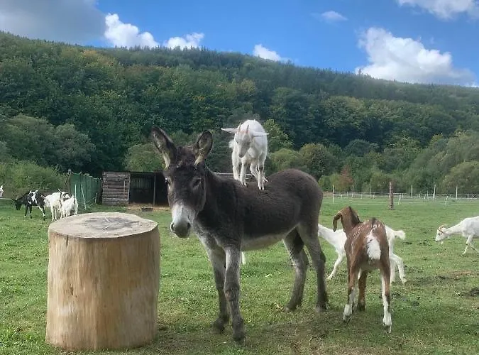 خيمة فخمة Zagroda Kopytkowo