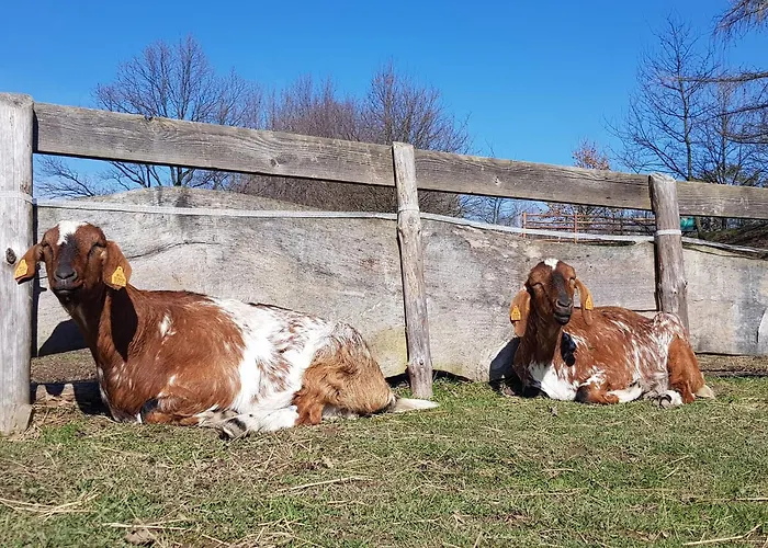 Zagroda Kopytkowo Ropica Gorna