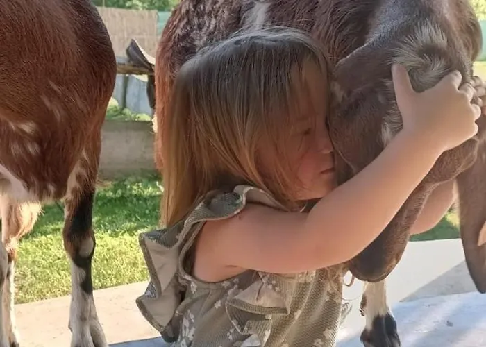 Zagroda Kopytkowo Campo de lujo