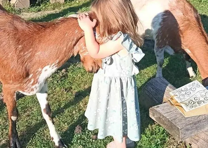 Zagroda Kopytkowo Campo de lujo Ropica Gorna